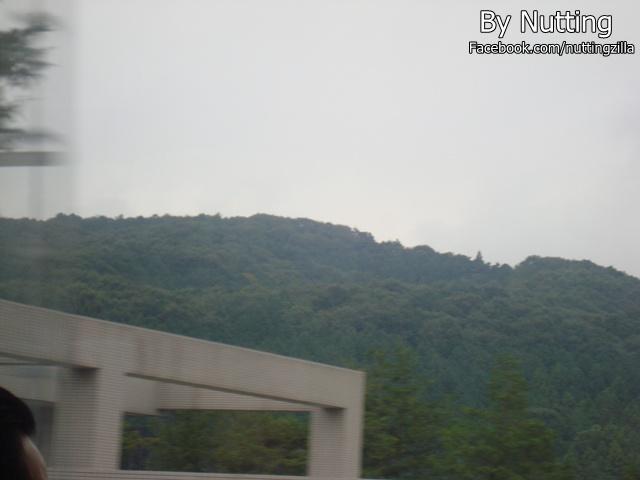 DSC03798.JPG